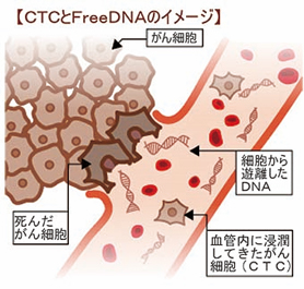 販売 腫瘍関連細胞の循環アンサンブル